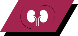 Με αργινίνη, αντιοξειδωτικά και ωμέγα-3 λιπαρά οξέα για την υποστήριξη υγιών νεφρών