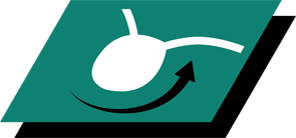 Βοηθά στη διατήρηση της υγείας των ούρων προάγοντας την αραίωση του ούρου*