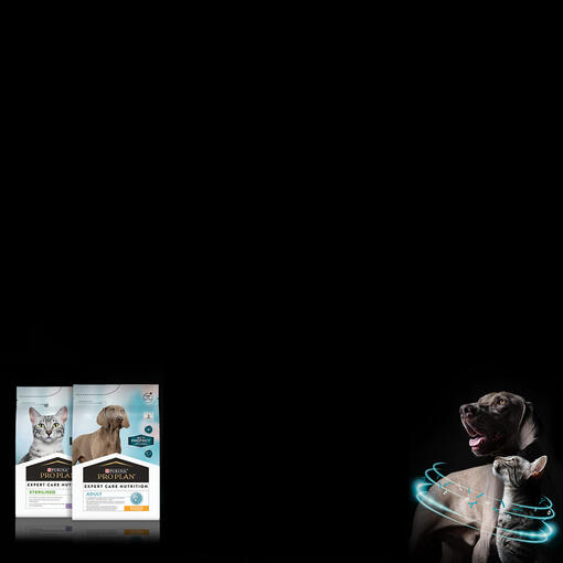 Purina PROPLAN ECN mobile banner