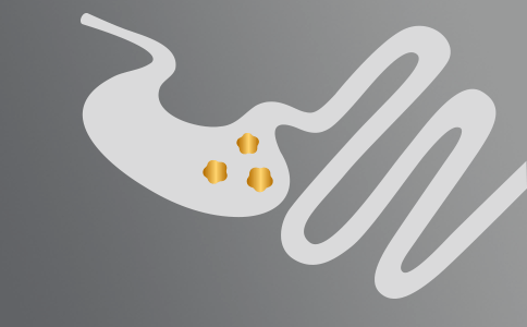 Γαστρεντερική Υγεία