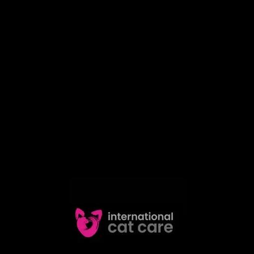 NUTRITIONAL STRATEGIES IN FELINE UROLITHIASIS - Διαθέσιμη μαγνητοσκόπηση