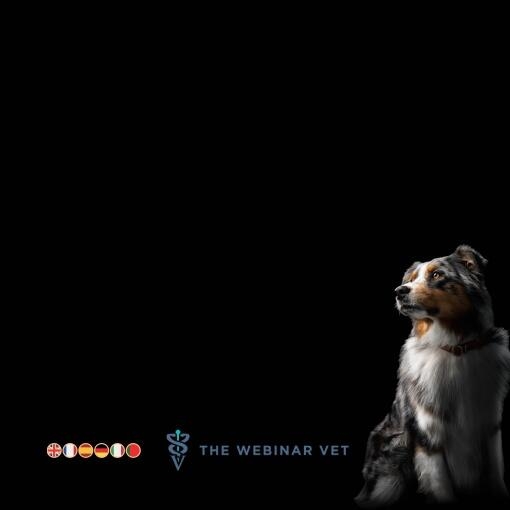 Role of Low-Fat Diets in Dogs by Dr. Penny Watson