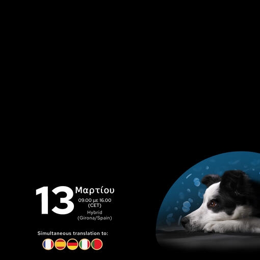 Calming Care Symposium