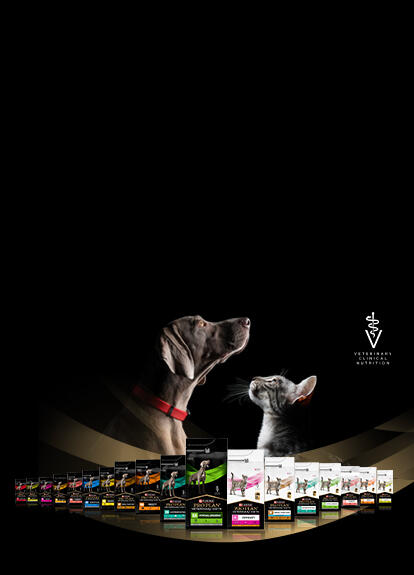 PPVD Αποτύπωμα LP