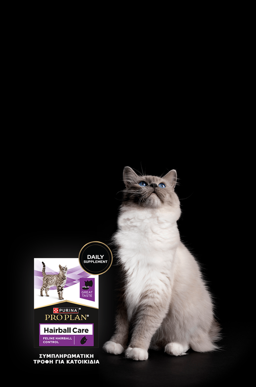 Banner PRO PLAN® Hairball Care
