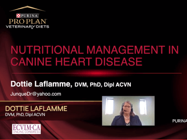 Purina Symposium 2020 - Dr. Dorothy Laflamme  -  Masterclass