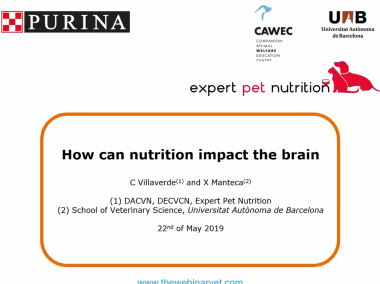 Xavier Manteca & Cecilia Villaverde: How can nutrition impact the brain