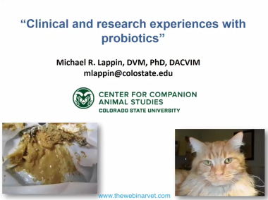 Mike Lappin: Clinical and research experiences with probiotics