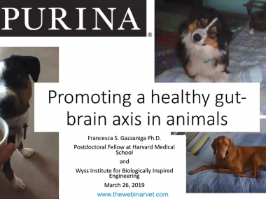 Francesca Gazzaniga: Promoting a healthy gut brain axis in animals