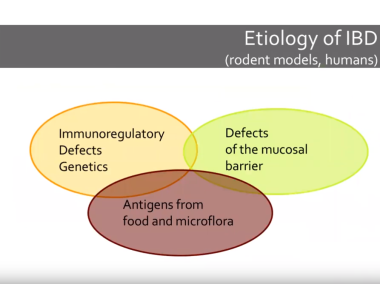 Treatment of canine IBD – Novel developments with Karin Allenspach