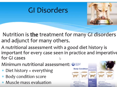 Diarrohea - challenges in nutritional management, with Marge Chandler