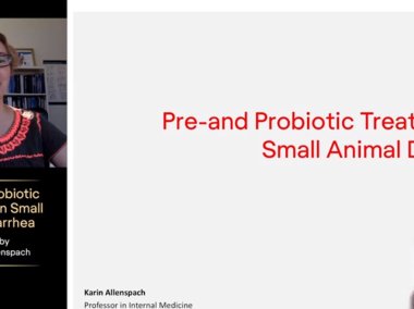 Karin Allenspach: Pre- and Probiotic treatment in small animal diarrhea