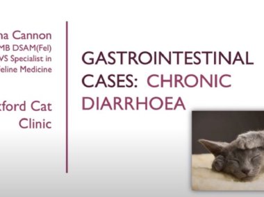 Martha Canon: Case reports in feline gastrointestinal disorders