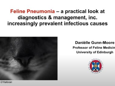 Danielle Gunn-Moore: Respiratory infectious diseases in cats