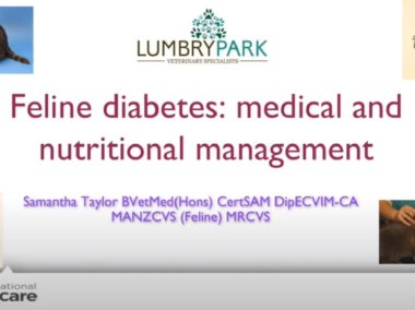 Samantha Taylor: Feline diabetes medical and nutritional management