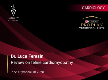Purina Symposium 2020 - Dr. Luca Ferasin