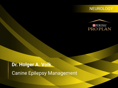 Canine Epilepsy Management With Dr. Holger A. Volk