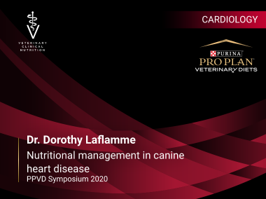 Purina Symposium 2020 - Dr. Dorothy Laflamme