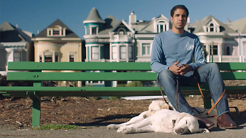 How Nutrition Can Change a Guide Dog's Life